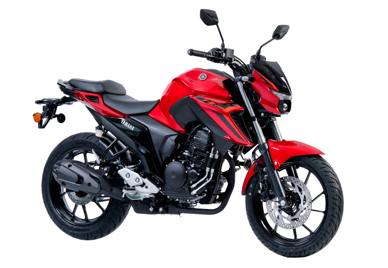NEW FZ-25 - Image 4
