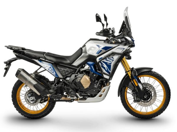DS800X RALLY